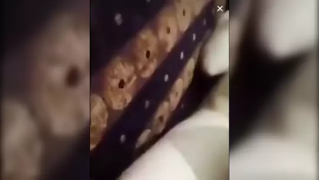Sumgaite'de amatör Azeri seks keyfi.